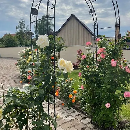 Gemuetliche アパート