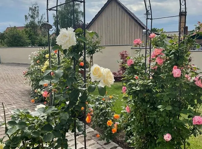 Gemuetliche דירה